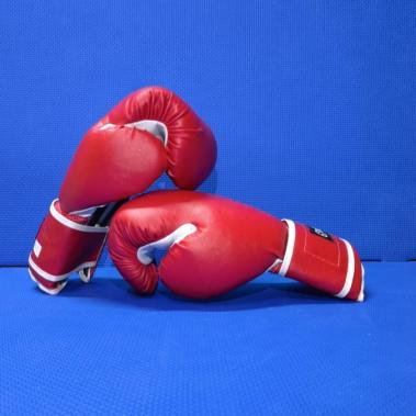 Guante Box PVC